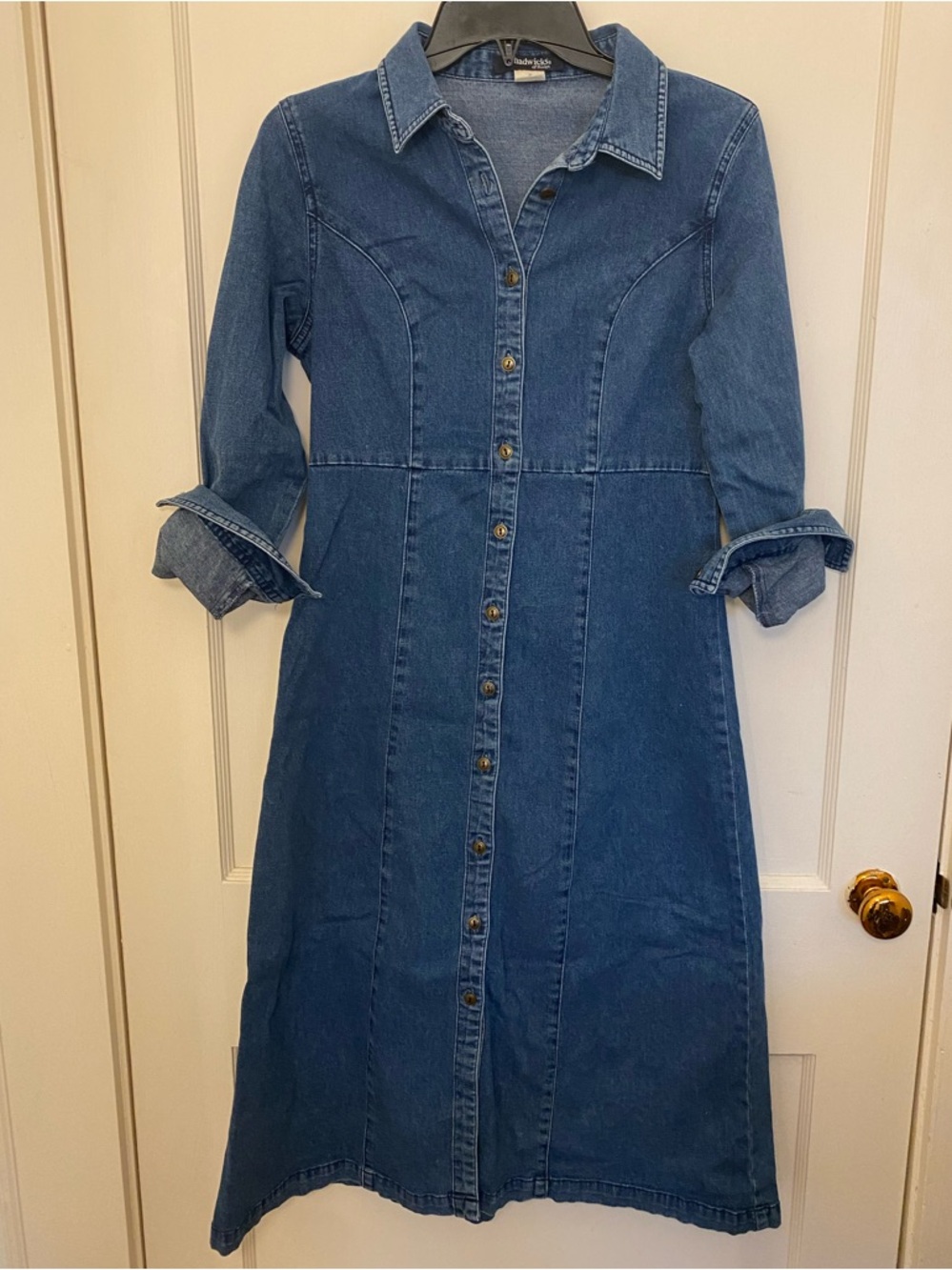 Chadwicks Denim Button-Front Dress